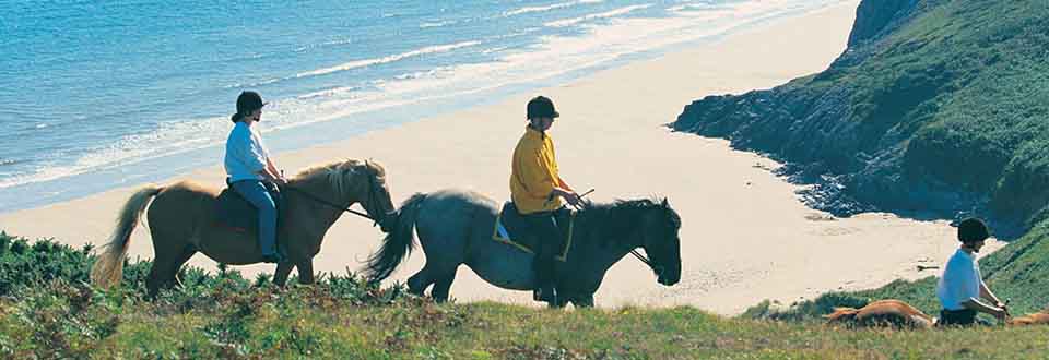 Horse Riding on the Gower Peninsula