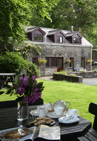 accommodation-welsh-cakes