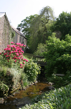 cottage-with-view