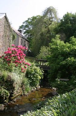 River view from back patio of holiday cottage