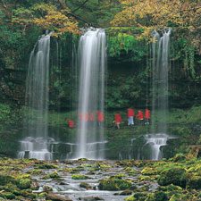 Dog Walks in Waterfall Country