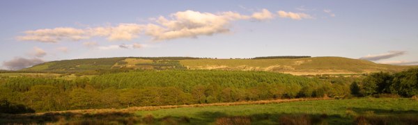 Mynydd Marchywel